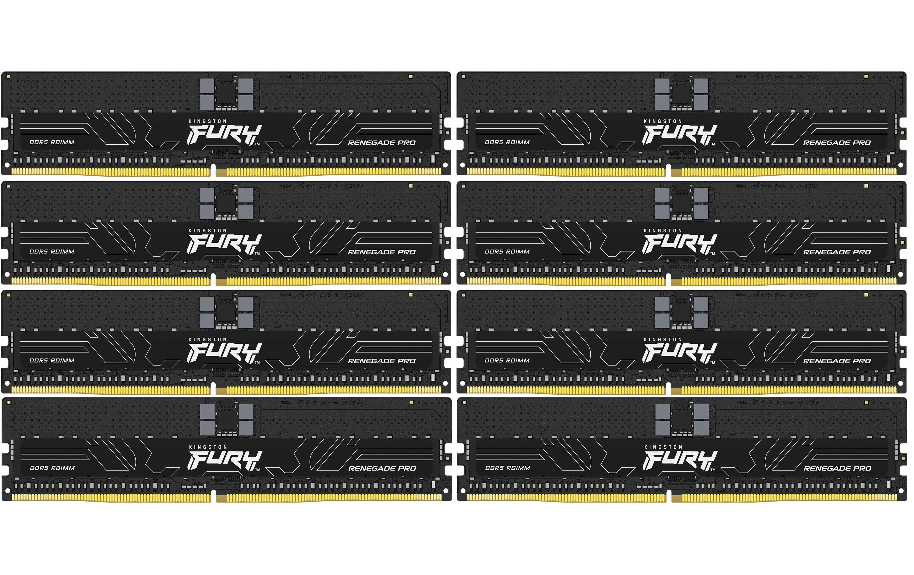 FURY Ren. PRO DDR5 256GB 8Kit 5600MTs R.ECC