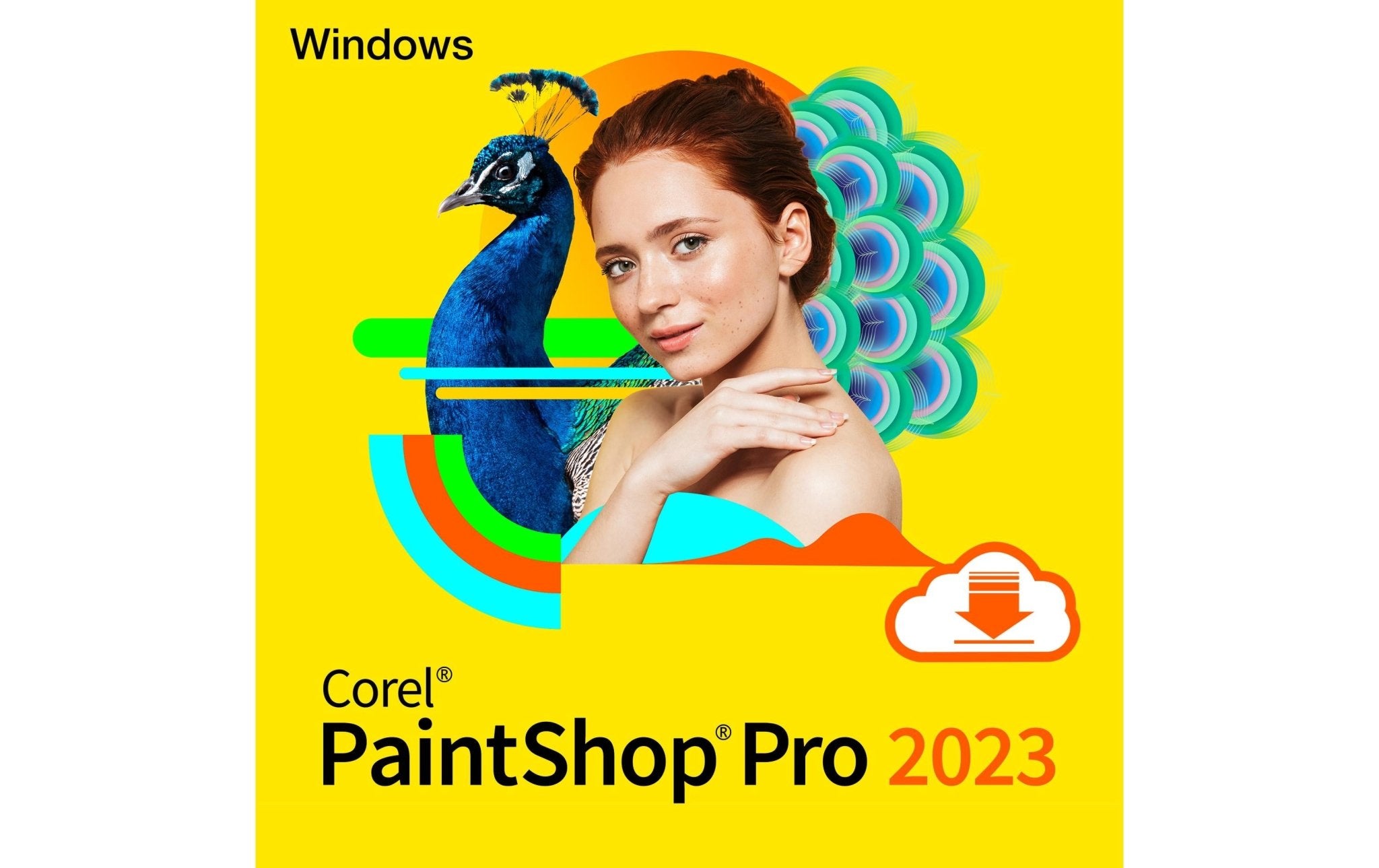 Corel PaintShop Pro 2023 - eShoppen GmbH